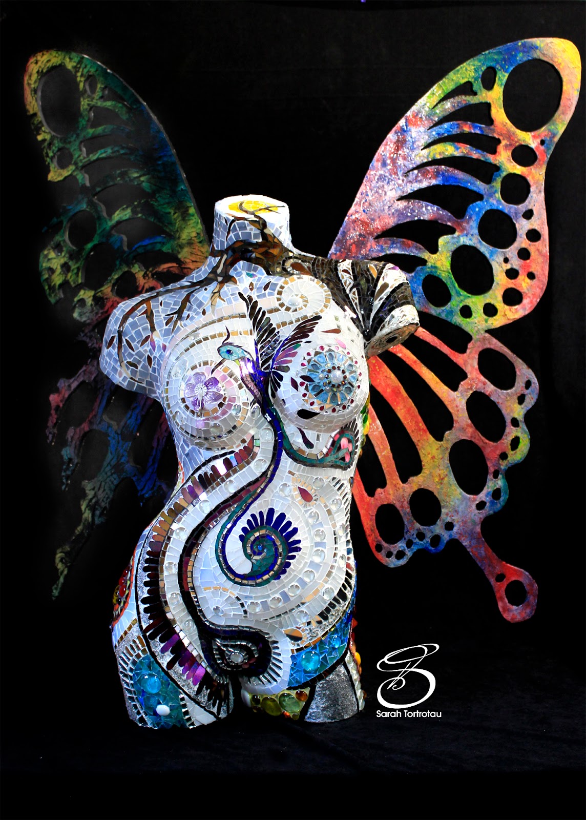 TortrotauSarahmetamorphose0 TortrotauSarahmetamorphose0